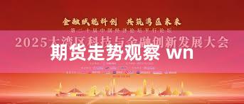 期货走势观察 wn