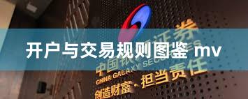 开户与交易规则图鉴 mv