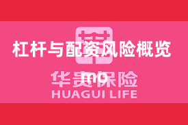 杠杆与配资风险概览 mo