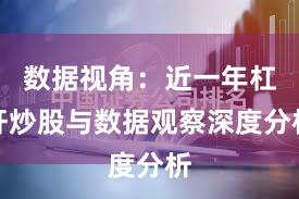 数据视角：近一年杠杆炒股与数据观察深度分析